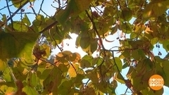 До свидания, четвертый месяц лета! Доброе утро. Суббота. Фрагмент