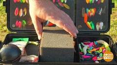 Рыба ищет,  где… губка! Доброе утро. Фрагмент 