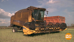 В полях и на фермах. Доброе утро. Суббота. Фрагмент 