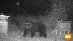 Улыбнитесь, зверушки, вас снимают! Доброе утро. Фрагмент 