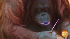 Тучка, Бусинка и другие художники. Доброе утро. Фрагмент 