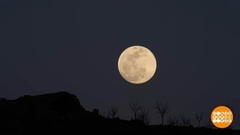 Октябрьское полнолуние: никакой мистики. Доброе утро. Суббота. Фрагмент