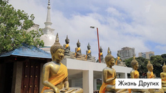 Шри-Ланка. Жизнь других. Анонс