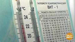 Да здравствует влажность! Идеальная… Доброе утро. Фрагмент