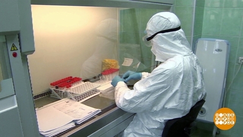 Пирола, омикрон и другие… Доброе утро. Фрагмент