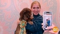 Кинологическая выставка «Евразия-2023»: пьедестал победителям! Доброе утро. Фрагмент