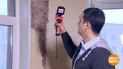 Плесень: обнаружить и ликвидировать! Доброе утро. Фрагмент