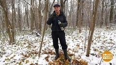 Прогулка в парке с пользой для здоровья. Доброе утро. Фрагмент