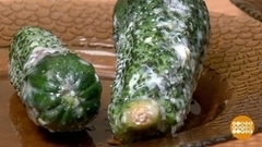 Плесень. Отнюдь не благородная… Доброе утро. Фрагмент 