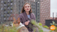 Как пережить линьку. Доброе утро. Фрагмент 