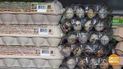 Перепелиные яйца: и что, лучше куриных? Доброе утро. Фрагмент 