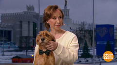 Инна Степанова и Петрович — о фильме «Тест на беременность». Доброе утро. Фрагмент 