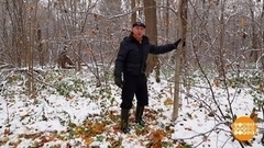 Дерево, полечи мне плечо! Доброе утро. Фрагмент 