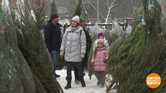 До Нового года — месяц! Всего месяц... Доброе утро. Фрагмент