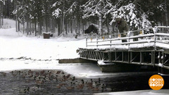 Зима… Красота-то какая! Доброе утро. Суббота. Фрагмент 