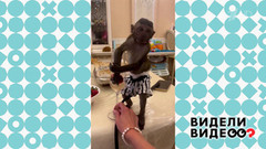 Макака и клубника. Видели видео? Фрагмент