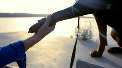 Быть рядом! Анонс