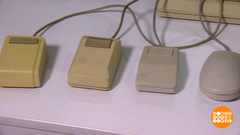 Куда бежишь, компьютерная мышь? Доброе утро. Суббота. Фрагмент 