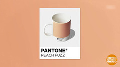 «Персиковый пушок» - цвет 2024 года! Доброе утро. Фрагмент