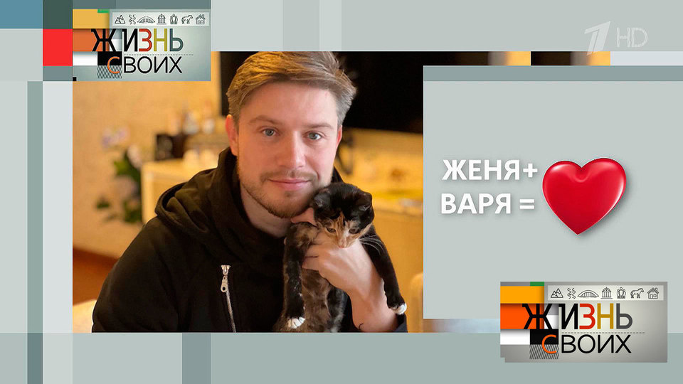 «Теперь Варя живет со мной», — ведущий взял котенка с Курильских островов. Жизнь своих. Фрагмент выпуска от 07.07.2024