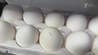 Минсельхоз принимает меры для стабилизации цен на куриные яйца