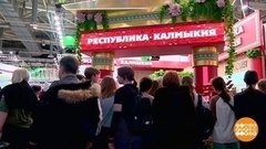 Выставка-форум «Россия»: новые горизонты! Доброе утро. Фрагмент