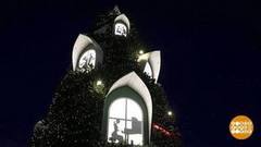 Елка окнами в будущее. Доброе утро. Фрагмент