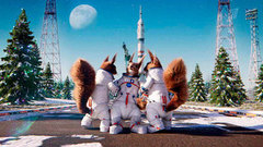 Белки в космосе