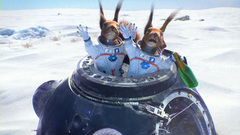 Белки в космосе. Приземление