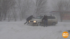 Климат, будь здоров! Доброе утро. Фрагмент 