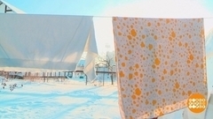 Мороз и солнце; день чудесный! Для стирки… Доброе утро. Фрагмент