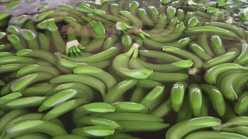 Порно видео Мастурбация банан. Смотреть Мастурбация банан онлайн