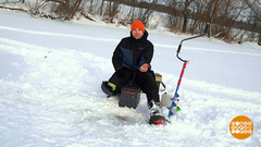 Ловим живца. Доброе утро. Фрагмент 