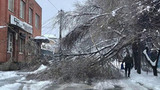 Ледяной дождь натворил бед в Ростовской области и движется на Москву