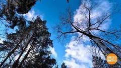 Приближаем весну! Доброе утро. Фрагмент 