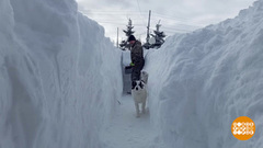 Рекорды этой зимы. Доброе утро. Фрагмент 