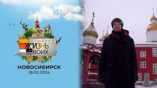 Новосибирск. Жизнь своих