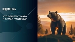 Что общего у мата и слова «медведь»? Кот Шредингера. Фрагмент