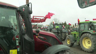 Польские фермеры заблокировали границу с Украиной
