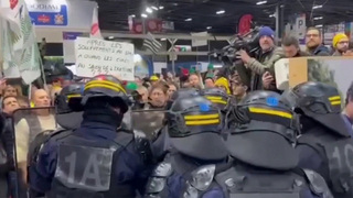 Протестующие фермеры прорвались на сельскохозяйственную выставку в Париже