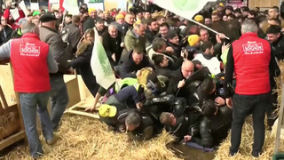 В Париже разъяренные фермеры устроили драку с полицией и закидали стражей порядка яйцами