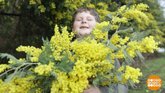 Мимозы хватит на всех! Доброе утро. Фрагмент 