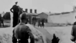 Преступления нацистов на территории сегодняшней ЛНР в годы Великой Отечественной Войны признаны геноцидом