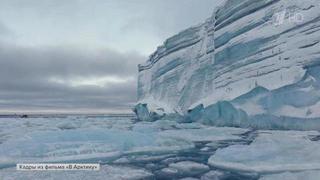 Состоялась премьера фильма «В Арктику», снятого при поддержке РГО и Северного флота