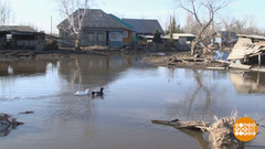 Готовимся к паводку. Доброе утро. Фрагмент