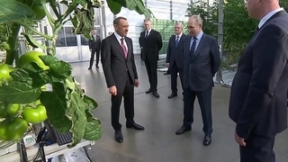 Президент на Ставрополье посетил крупнейший тепличный комплекс и пообщался с аграриями