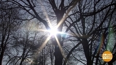 Весна! Расцветаем! Доброе утро. Фрагмент 