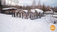 Заброшенный участок: хозяева, вы где? Доброе утро. Фрагмент