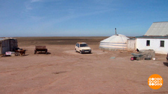 Степь... Верблюды... Интернет… Доброе утро. Суббота. Фрагмент 