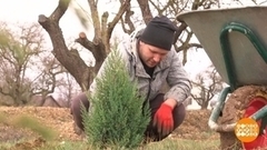 Влюбиться в Крым — и стать крымчанином. Доброе утро. Фрагмент 